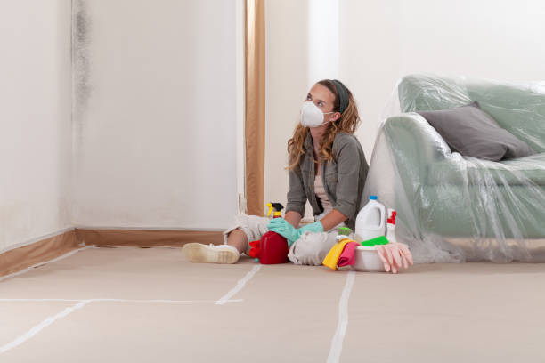 Reliable Mold Cleanup contractor in Victoria, VA by Cheap Mold Removal